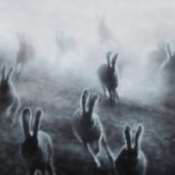 [album cover art] 36 & Black Swan – In Four Parts