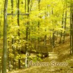 [album cover art] Altus – Autumn Breeze