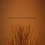 [album cover art] Altus – Black Trees Among Amber Skies