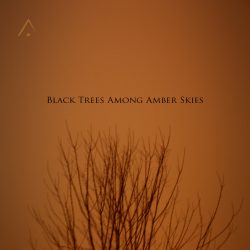 [album cover art] Altus – Black Trees Among Amber Skies