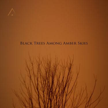 [album cover art] Altus – Black Trees Among Amber Skies