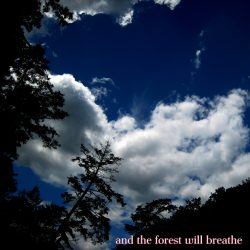 [album cover art] And the Forest Will Breathe – And the Forest Will Breathe