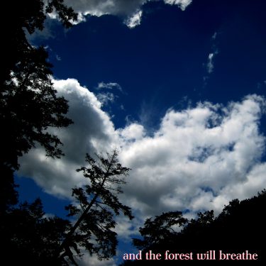 [album cover art] And the Forest Will Breathe – And the Forest Will Breathe
