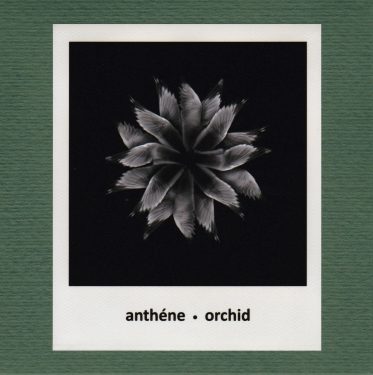 [album cover art] anthéne – Orchid