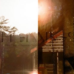 [album cover art] Beginnings – Hazy Heat/Common Cold
