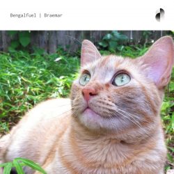 [album cover art] Bengalfuel – Braemar
