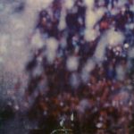 [album cover art] Benoît Pioulard – May / Atra