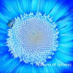 [album cover art] Bubble – Features of Spheres