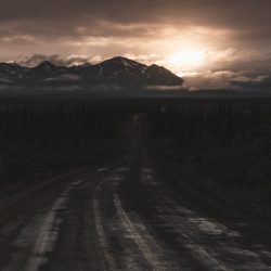 [album cover art] Carlos Ferreira & deer meadow – In a sad red dusk, we were finally leaving