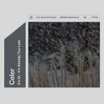 [album cover art] Celer – It's Al-- It's Already Too Late