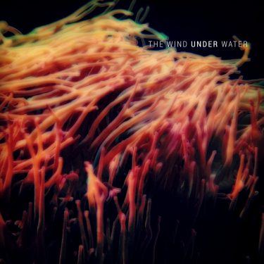[album cover art] Christopher Sisk – The Wind Under Water