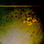 [album cover art] Christopher Sisk – Thirty-two
