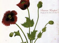 [album cover art] Darren Harper – Passages for the Listless and Tired