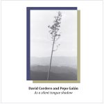 [album cover art] David Cordero & Pepo Galán – As a Silent Tongue Shadow
