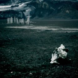 [album cover art] David Newlyn – Church Fires