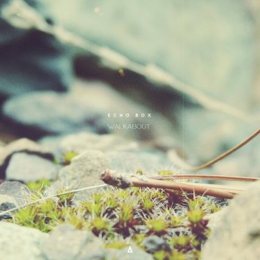 [album cover art] Echo Box – Walkabout