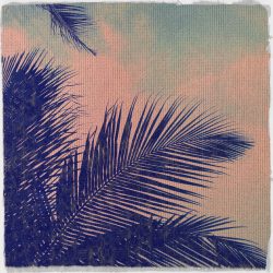 [album cover art] Ed Cooke – The Lost Variables