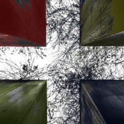 [album cover art] Emanuele Errante – This World
