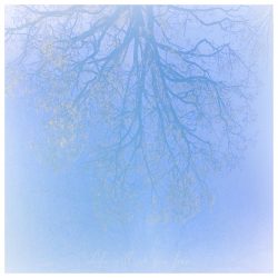 [album cover art] Eternell – Life Will Set You Free