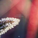 [album cover art] Faidel – Edelweiss