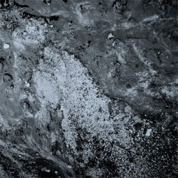 [album cover art] Foci's Left – Spillage
