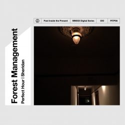 [album cover art] Forest Management – Perfect Hour | Sheridan