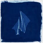 [album cover art] Fossil Hunting Collective – Cyanotype