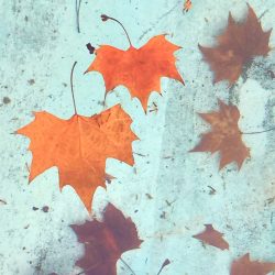 [album cover art] Francesco Covarino & Matthew Sage – Morning
