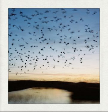 [album cover art] fred baty – the upper air
