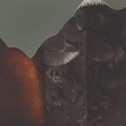 [album cover art] From Overseas / awakened souls / zakè – Valencia