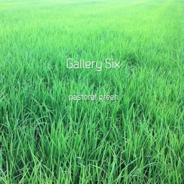 [album cover art] Gallery Six – pastoral green