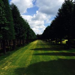 [album cover art] Gallery Six – sunny garden walk