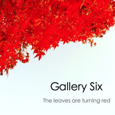 [album cover art] Gallery Six – The leaves are turning red
