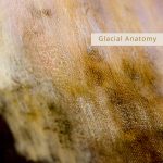 [album cover art] Glacial Anatomy – Field