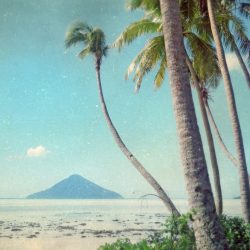 [album cover art] glåsbird – pacifica