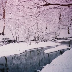 [album cover art] Good Weather For An Airstrike – A Winter
