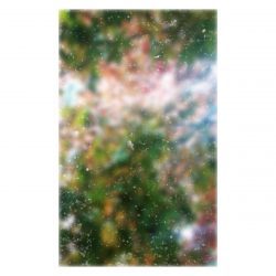 [album cover art] hakobune – all my regret for nothing remembered