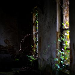[album cover art] Hakobune & Dirk Serries – Obscured By Beams Of Sorrow
