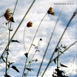 [album cover art] hakobune – Isohel