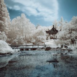 [album cover art] Hakobune & Nobuto Suda – Garden of Ghosts