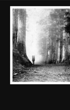 [album cover art] hakobune – Sense of Place