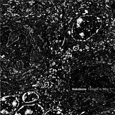 [album cover art] hakobune – tonight is why
