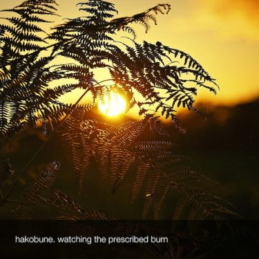 [album cover art] hakobune – Watching The Prescribed Burn