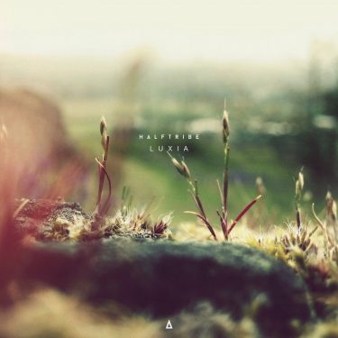[album cover art] Halftribe – Luxia