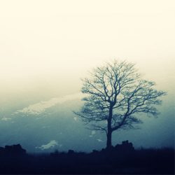[album cover art] Hidden Landscapes (VA)