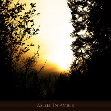[album cover art] Hilyard – Asleep in Amber