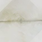 [album cover art] Hilyard – Ovo/Orpo