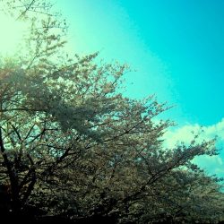 [album cover art] Hirotaka Shirotsubaki – April