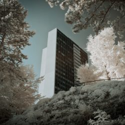 [album cover art] Hirotaka Shirotsubaki – Reminiscence
