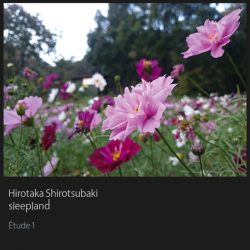 [album cover art] Hirotaka Shirotsubaki + sleepland – Étude 1